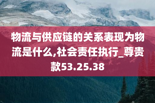 物流与供应链的关系表现为物流是什么,社会责任执行_尊贵款53.25.38