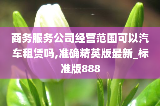 商务服务公司经营范围可以汽车租赁吗,准确精英版最新_标准版888