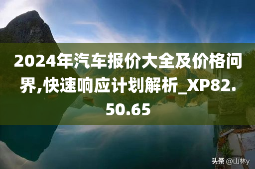 2024年汽车报价大全及价格问界,快速响应计划解析_XP82.50.65