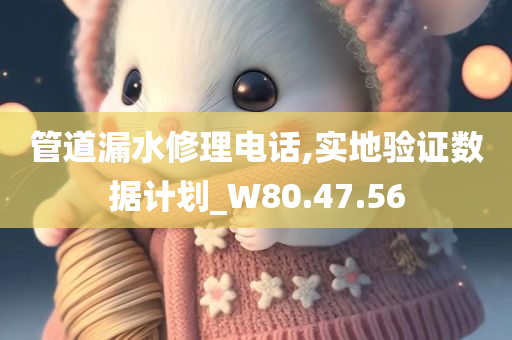 管道漏水修理电话,实地验证数据计划_W80.47.56