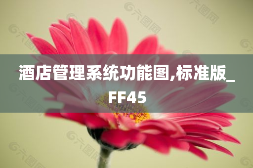 酒店管理系统功能图,标准版_FF45