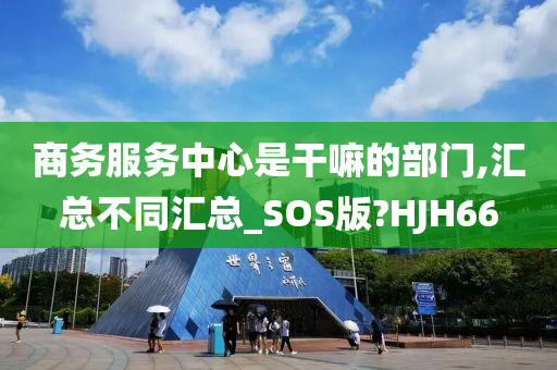 商务服务中心是干嘛的部门,汇总不同汇总_SOS版?HJH66