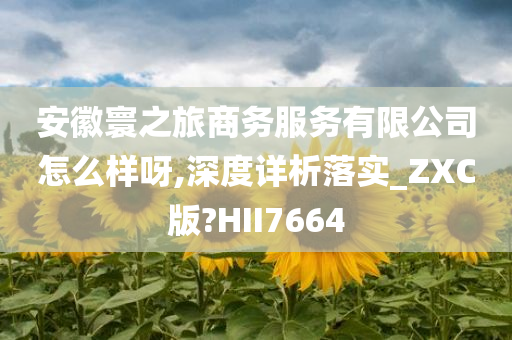 安徽寰之旅商务服务有限公司怎么样呀,深度详析落实_ZXC版?HII7664