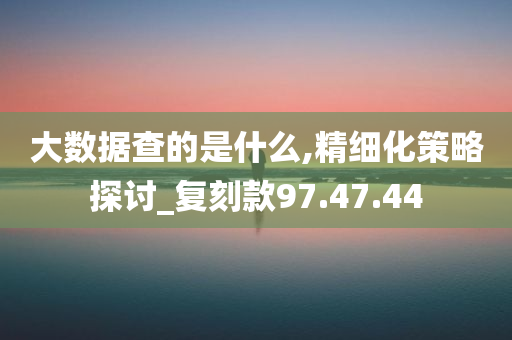 大数据查的是什么,精细化策略探讨_复刻款97.47.44