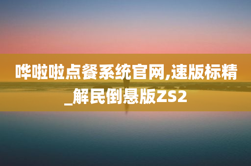 哗啦啦点餐系统官网,速版标精_解民倒悬版ZS2