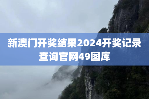 新澳门开奖结果2024开奖记录查询官网49图库