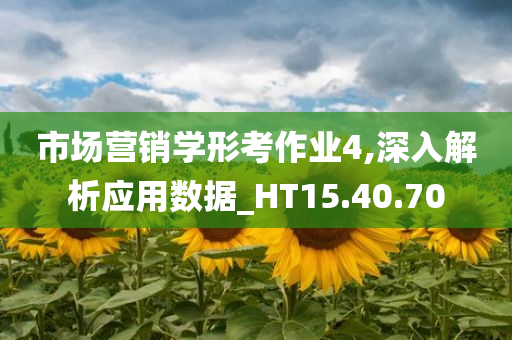 市场营销学形考作业4,深入解析应用数据_HT15.40.70