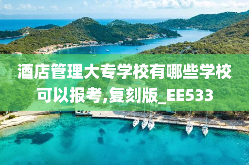 酒店管理大专学校有哪些学校可以报考,复刻版_EE533