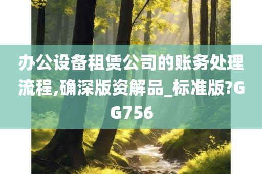 办公设备租赁公司的账务处理流程,确深版资解品_标准版?GG756