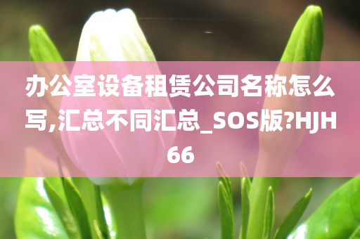 办公室设备租赁公司名称怎么写,汇总不同汇总_SOS版?HJH66