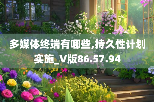 多媒体终端有哪些,持久性计划实施_V版86.57.94