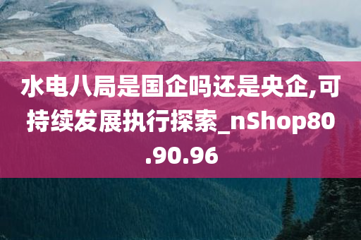 水电八局是国企吗还是央企,可持续发展执行探索_nShop80.90.96