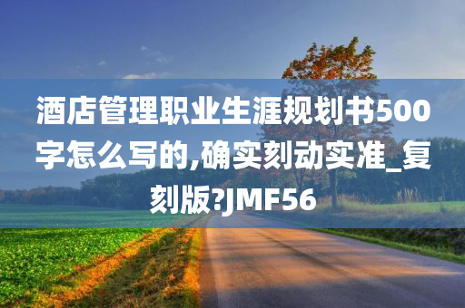 酒店管理职业生涯规划书500字怎么写的,确实刻动实准_复刻版?JMF56