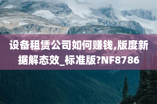 设备租赁公司如何赚钱,版度新据解态效_标准版?NF8786