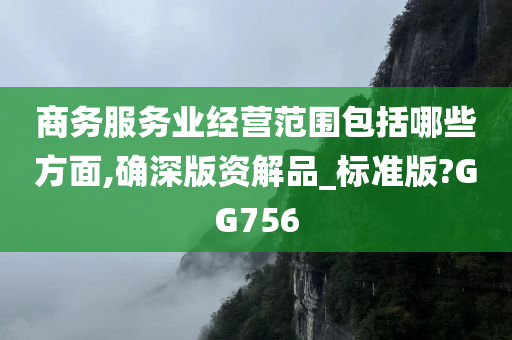 商务服务业经营范围包括哪些方面,确深版资解品_标准版?GG756