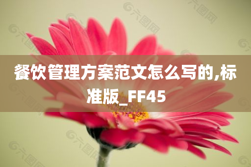 餐饮管理方案范文怎么写的,标准版_FF45