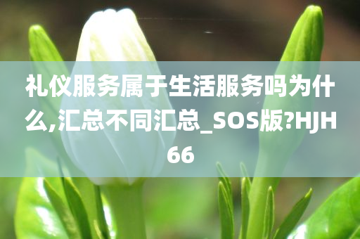 礼仪服务属于生活服务吗为什么,汇总不同汇总_SOS版?HJH66