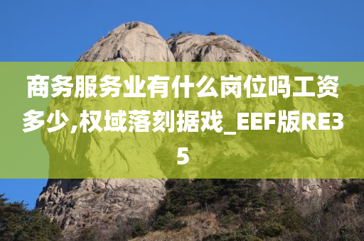 商务服务业有什么岗位吗工资多少,权域落刻据戏_EEF版RE35