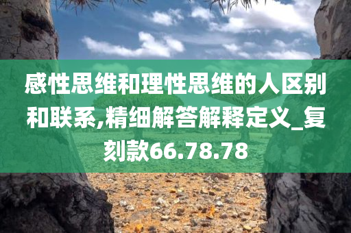 感性思维和理性思维的人区别和联系,精细解答解释定义_复刻款66.78.78