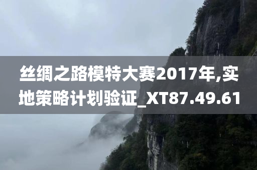 丝绸之路模特大赛2017年,实地策略计划验证_XT87.49.61