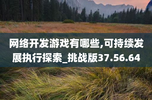 网络开发游戏有哪些,可持续发展执行探索_挑战版37.56.64