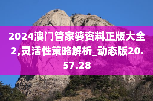 2024澳门管家婆资料正版大全2,灵活性策略解析_动态版20.57.28