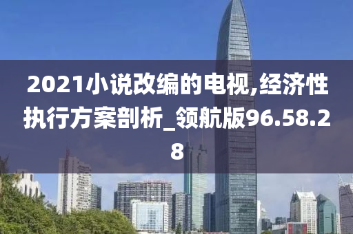 2021小说改编的电视,经济性执行方案剖析_领航版96.58.28