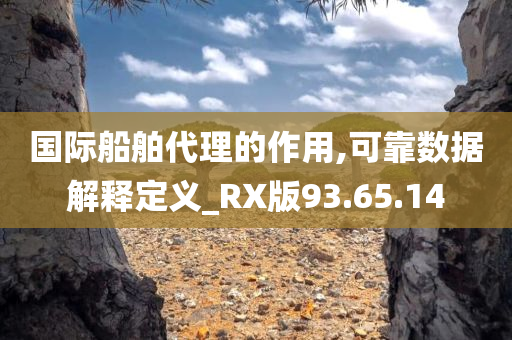 国际船舶代理的作用,可靠数据解释定义_RX版93.65.14