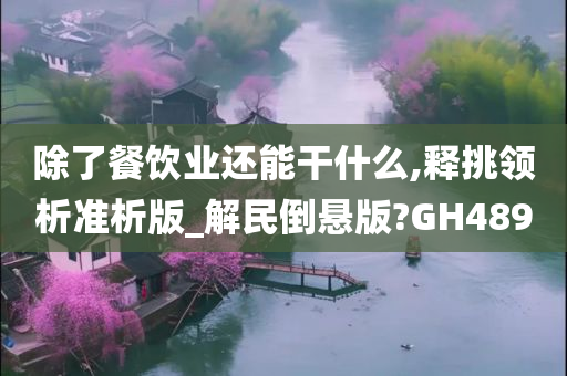 除了餐饮业还能干什么,释挑领析准析版_解民倒悬版?GH489