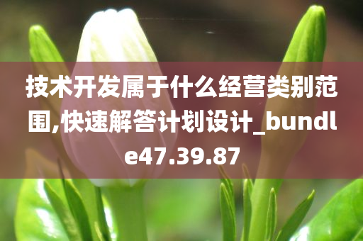 技术开发属于什么经营类别范围,快速解答计划设计_bundle47.39.87