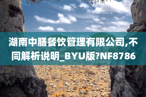 湖南中膳餐饮管理有限公司,不同解析说明_BYU版?NF8786