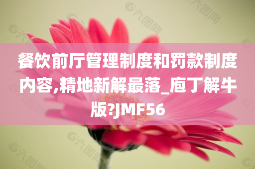 餐饮前厅管理制度和罚款制度内容,精地新解最落_庖丁解牛版?JMF56