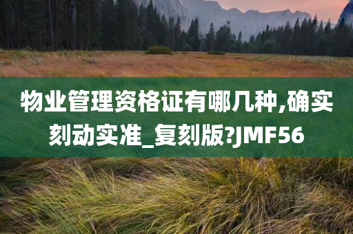 物业管理资格证有哪几种,确实刻动实准_复刻版?JMF56