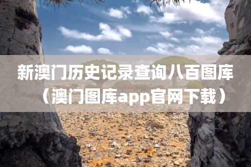 新澳门历史记录查询八百图库（澳门图库app官网下载）