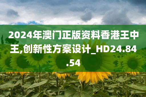 2024年澳门正版资料香港王中王,创新性方案设计_HD24.84.54