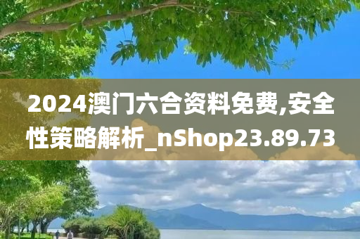 2024澳门六合资料免费,安全性策略解析_nShop23.89.73