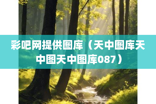 技术 第520页