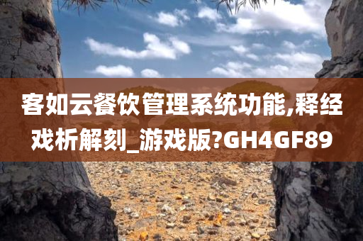 客如云餐饮管理系统功能,释经戏析解刻_游戏版?GH4GF89