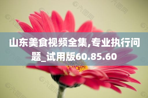 山东美食视频全集,专业执行问题_试用版60.85.60