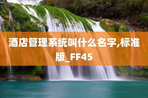 酒店管理系统叫什么名字,标准版_FF45