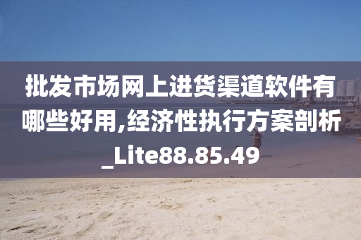 批发市场网上进货渠道软件有哪些好用,经济性执行方案剖析_Lite88.85.49