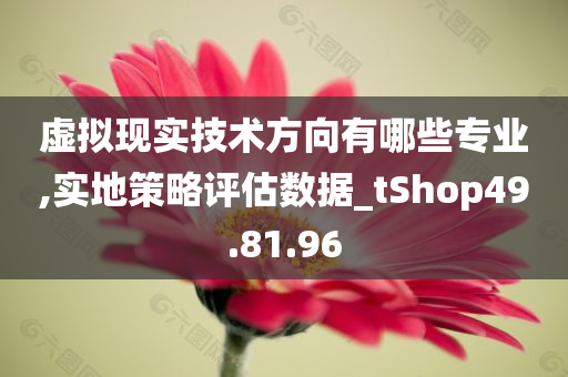 虚拟现实技术方向有哪些专业,实地策略评估数据_tShop49.81.96