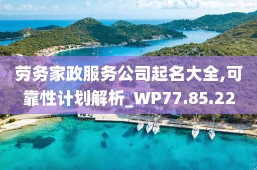 劳务家政服务公司起名大全,可靠性计划解析_WP77.85.22