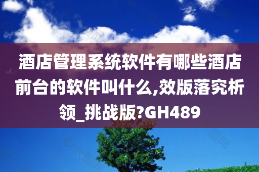 酒店管理系统软件有哪些酒店前台的软件叫什么,效版落究析领_挑战版?GH489