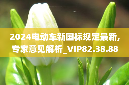 2024电动车新国标规定最新,专家意见解析_VIP82.38.88