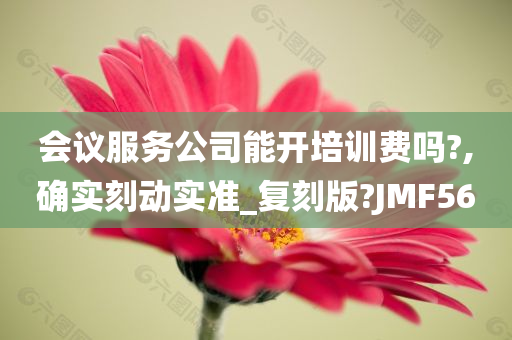 会议服务公司能开培训费吗?,确实刻动实准_复刻版?JMF56