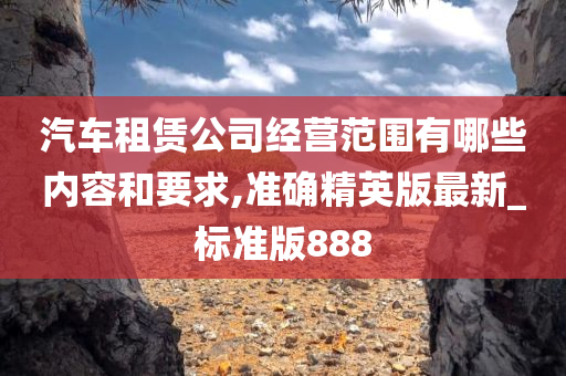 汽车租赁公司经营范围有哪些内容和要求,准确精英版最新_标准版888