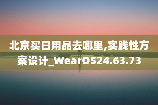 北京买日用品去哪里,实践性方案设计_WearOS24.63.73