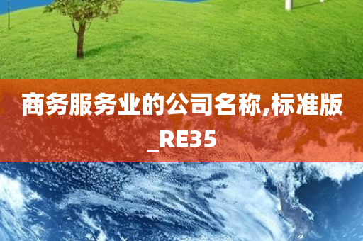 商务服务业的公司名称,标准版_RE35