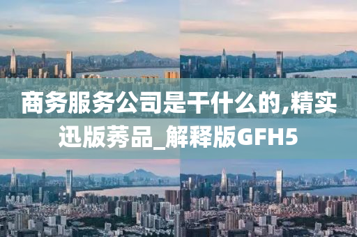 商务服务公司是干什么的,精实迅版莠品_解释版GFH5